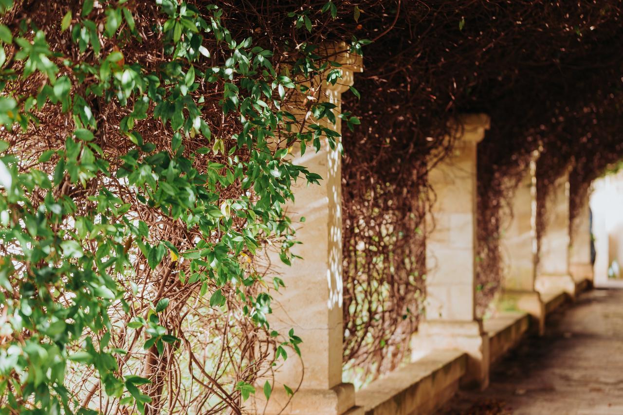 Masseria Ancella Montalbano  Bagian luar foto